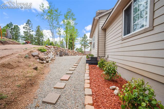 MLS Image for 127  Badger Lake  ,Divide, Colorado