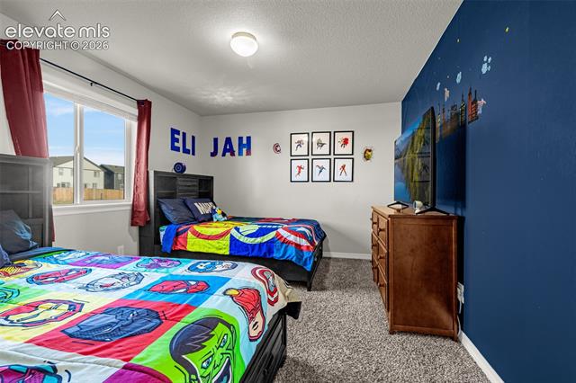 MLS Image for 6739  Abita  ,Colorado Springs, Colorado