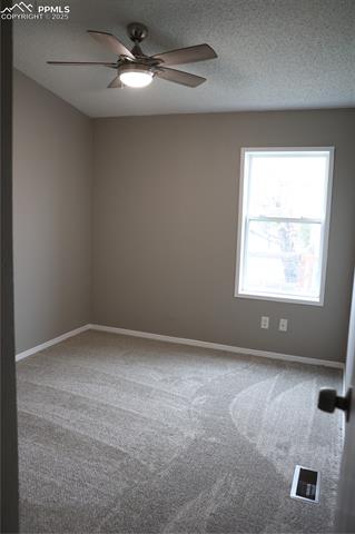 MLS Image for 4663  Pine Marten  ,Colorado Springs, Colorado