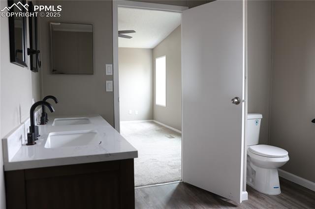 MLS Image for 4663  Pine Marten  ,Colorado Springs, Colorado