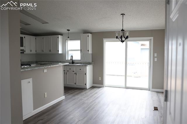 MLS Image for 4663  Pine Marten  ,Colorado Springs, Colorado