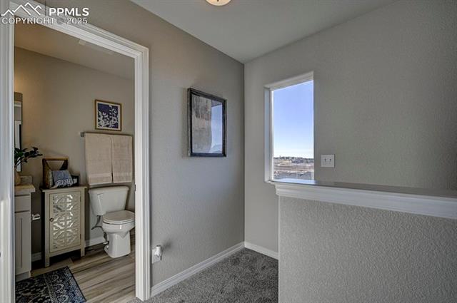 MLS Image for 2167  Backpack  ,Colorado Springs, Colorado