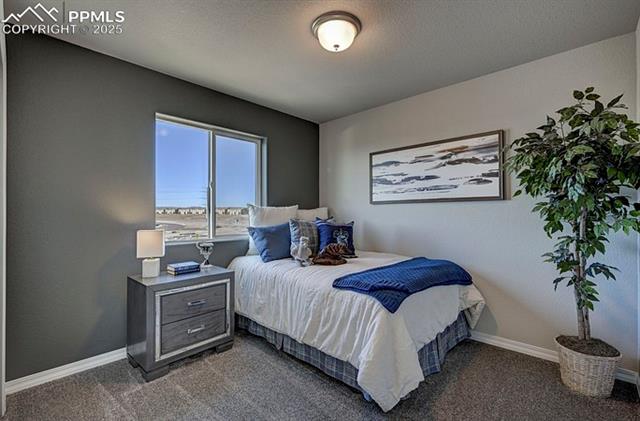 MLS Image for 2167  Backpack  ,Colorado Springs, Colorado