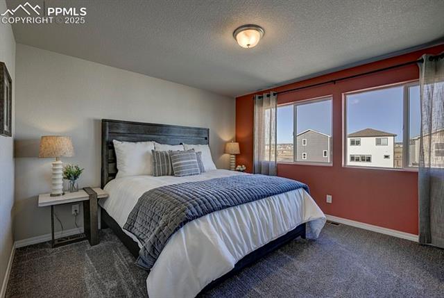 MLS Image for 2167  Backpack  ,Colorado Springs, Colorado
