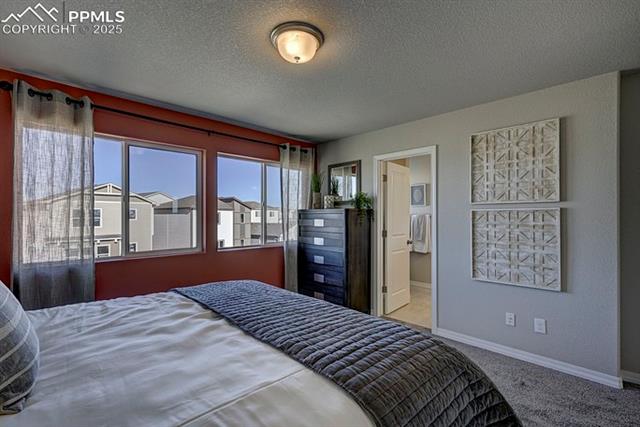 MLS Image for 2167  Backpack  ,Colorado Springs, Colorado