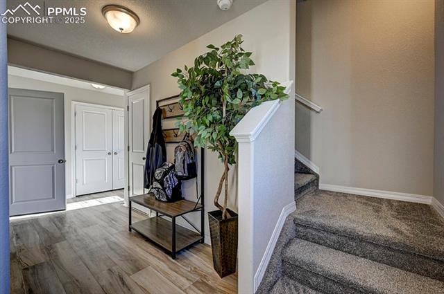 MLS Image for 2167  Backpack  ,Colorado Springs, Colorado