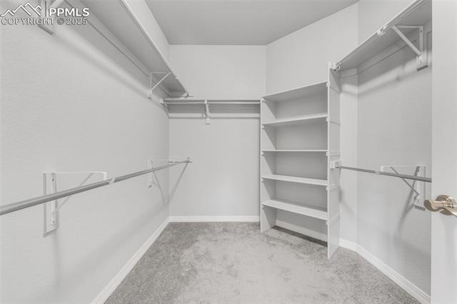 MLS Image for 12495  Woodruff  ,Colorado Springs, Colorado