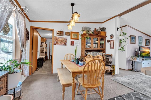 MLS Image for 44  Silver  ,Florissant, Colorado