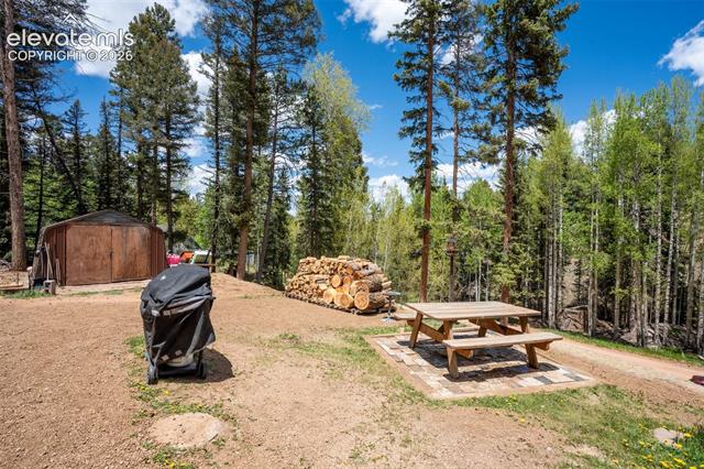 MLS Image for 44  Silver  ,Florissant, Colorado