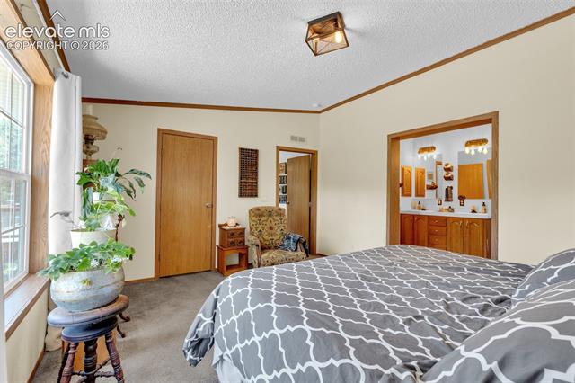 MLS Image for 44  Silver  ,Florissant, Colorado
