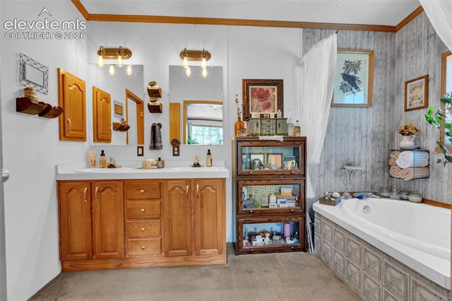 MLS Image for 44  Silver  ,Florissant, Colorado