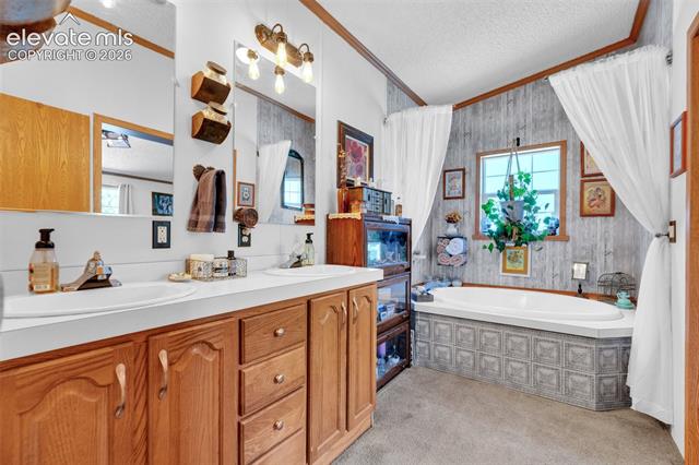 MLS Image for 44  Silver  ,Florissant, Colorado