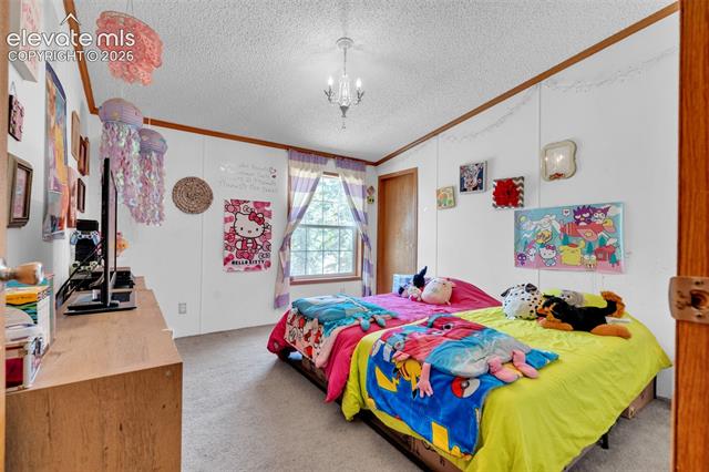 MLS Image for 44  Silver  ,Florissant, Colorado