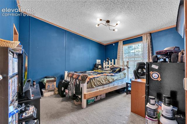 MLS Image for 44  Silver  ,Florissant, Colorado
