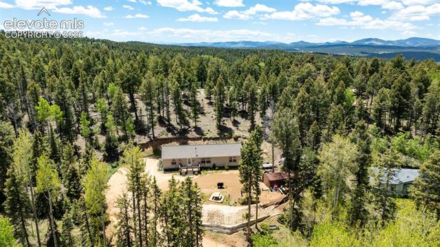 MLS Image for 44  Silver  ,Florissant, Colorado