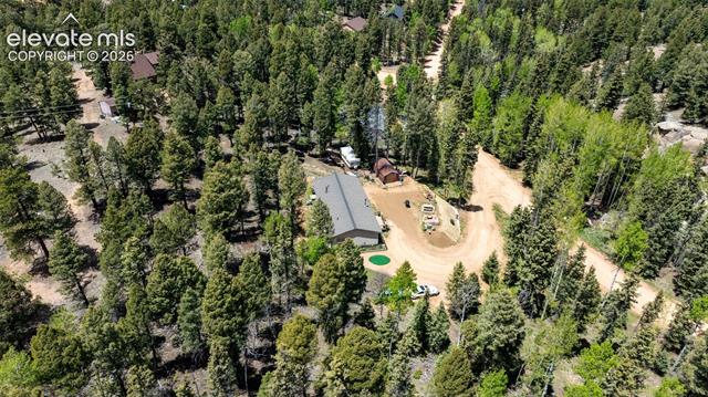 MLS Image for 44  Silver  ,Florissant, Colorado
