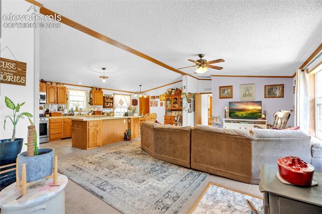 MLS Image for 44  Silver  ,Florissant, Colorado