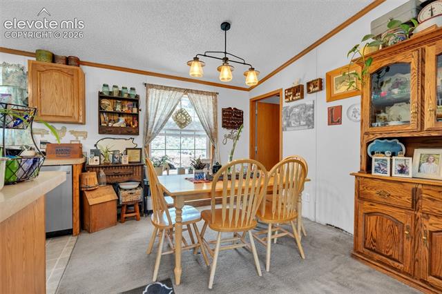 MLS Image for 44  Silver  ,Florissant, Colorado
