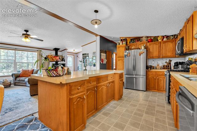 MLS Image for 44  Silver  ,Florissant, Colorado