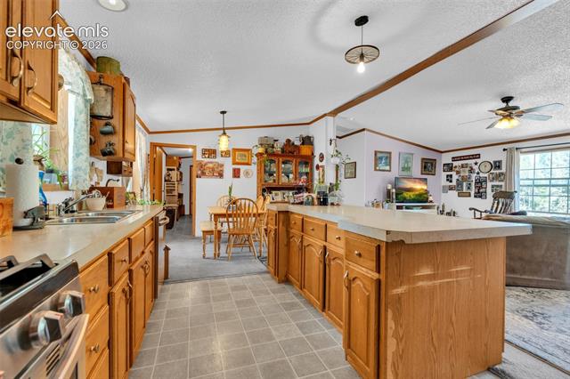 MLS Image for 44  Silver  ,Florissant, Colorado