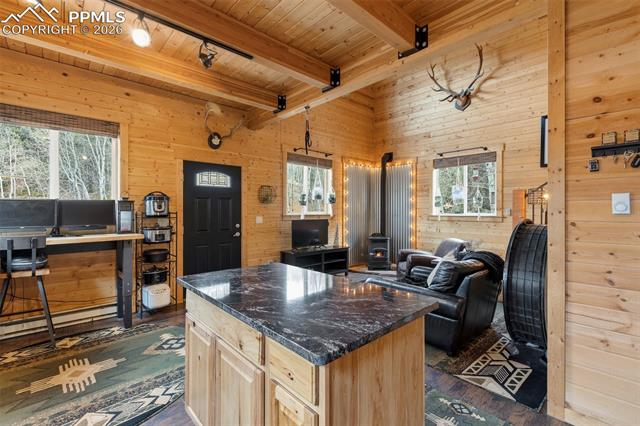 MLS Image for 325  Willow  ,Divide, Colorado