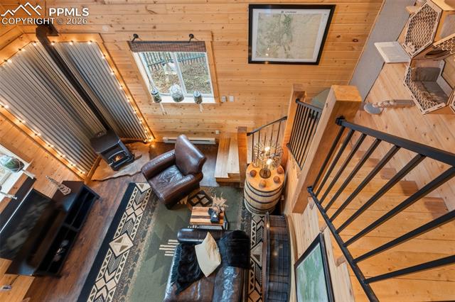 MLS Image for 325  Willow  ,Divide, Colorado