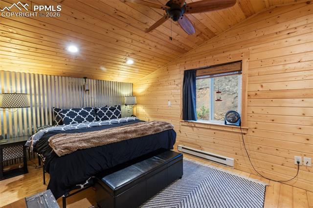 MLS Image for 325  Willow  ,Divide, Colorado
