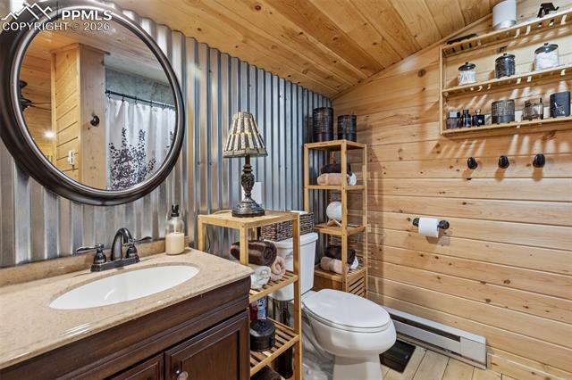 MLS Image for 325  Willow  ,Divide, Colorado