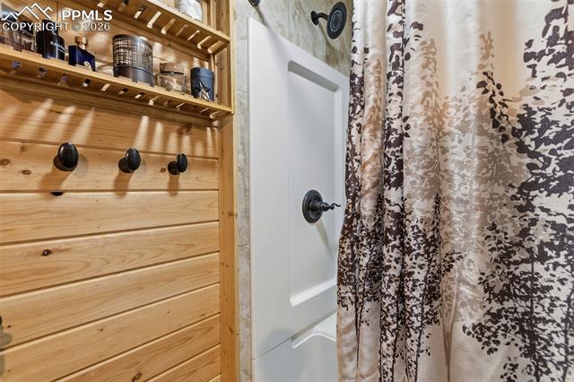MLS Image for 325  Willow  ,Divide, Colorado