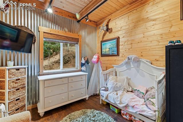 MLS Image for 325  Willow  ,Divide, Colorado