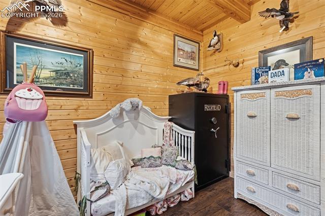 MLS Image for 325  Willow  ,Divide, Colorado