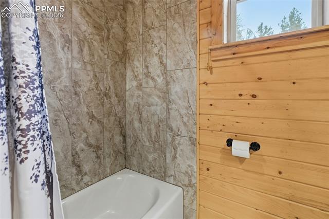 MLS Image for 325  Willow  ,Divide, Colorado