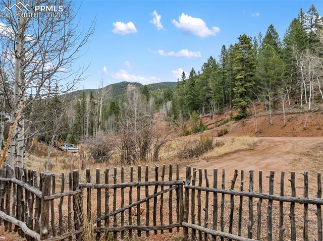 MLS Image for 325  Willow  ,Divide, Colorado