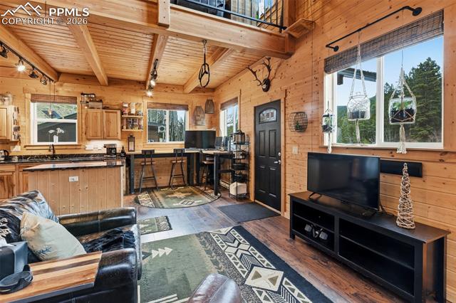 MLS Image for 325  Willow  ,Divide, Colorado