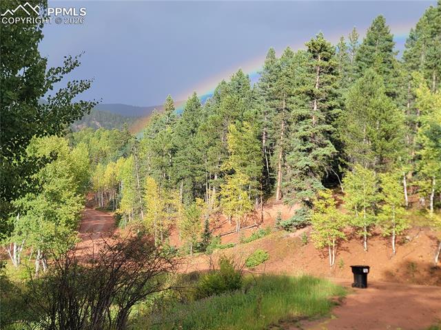 MLS Image for 325  Willow  ,Divide, Colorado