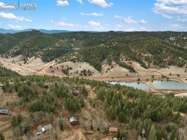 MLS Image for 325  Willow  ,Divide, Colorado