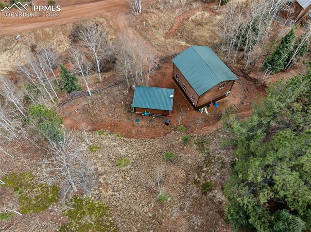 MLS Image for 325  Willow  ,Divide, Colorado