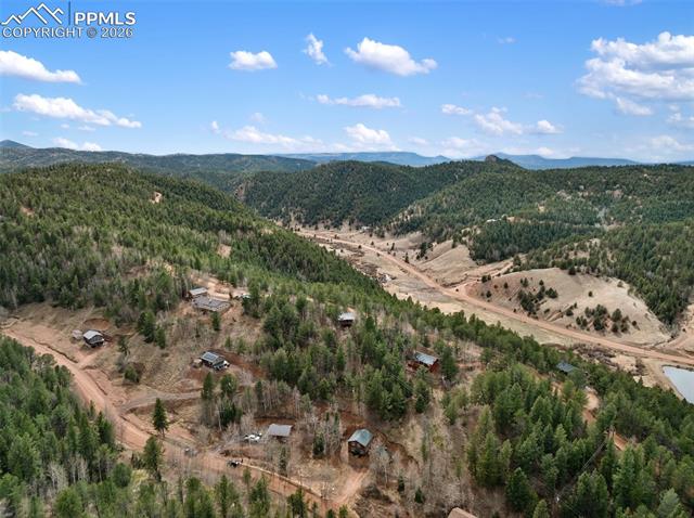 MLS Image for 325  Willow  ,Divide, Colorado