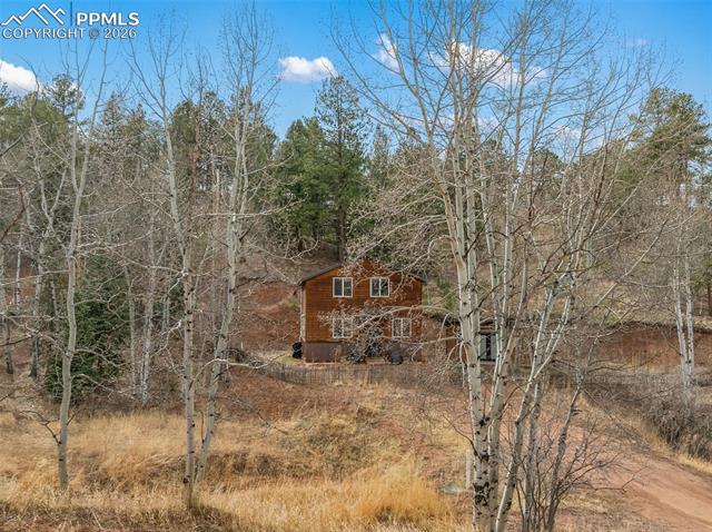 MLS Image for 325  Willow  ,Divide, Colorado
