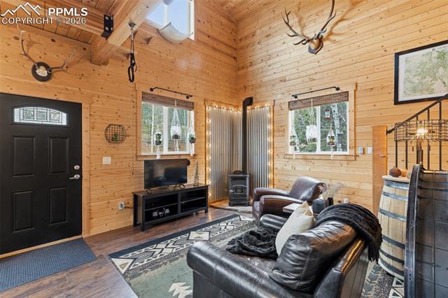 MLS Image for 325  Willow  ,Divide, Colorado
