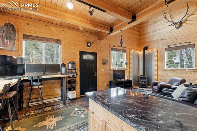 MLS Image for 325  Willow  ,Divide, Colorado