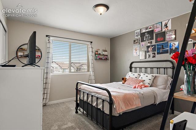 MLS Image for 10142  Thrive  ,Colorado Springs, Colorado