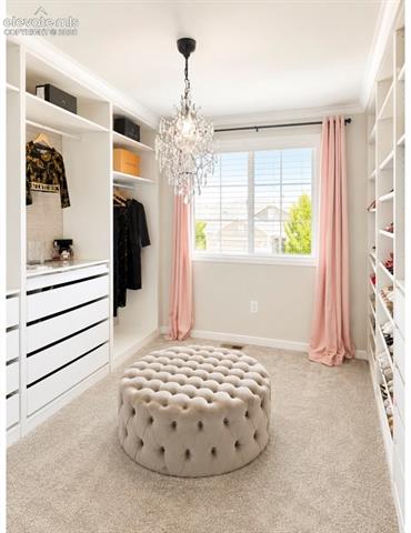 MLS Image for 10142  Thrive  ,Colorado Springs, Colorado