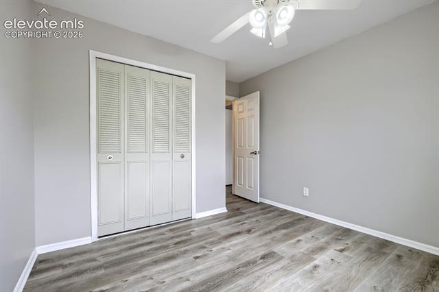MLS Image for 2305  Distinctive  ,Colorado Springs, Colorado