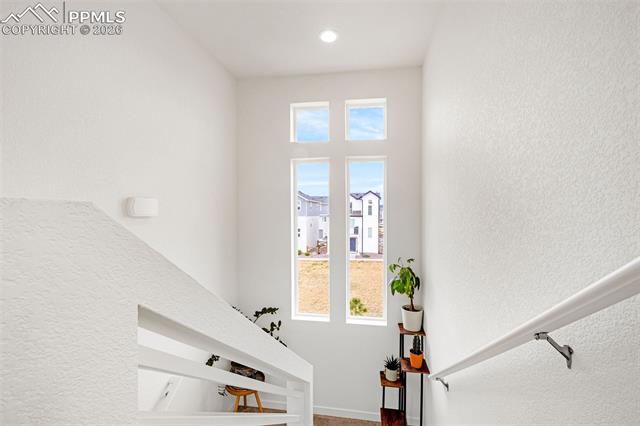 MLS Image for 5819  Tramore  ,Colorado Springs, Colorado