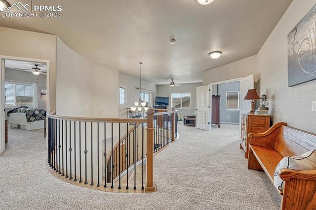 MLS Image for 6132  Cubbage  ,Colorado Springs, Colorado
