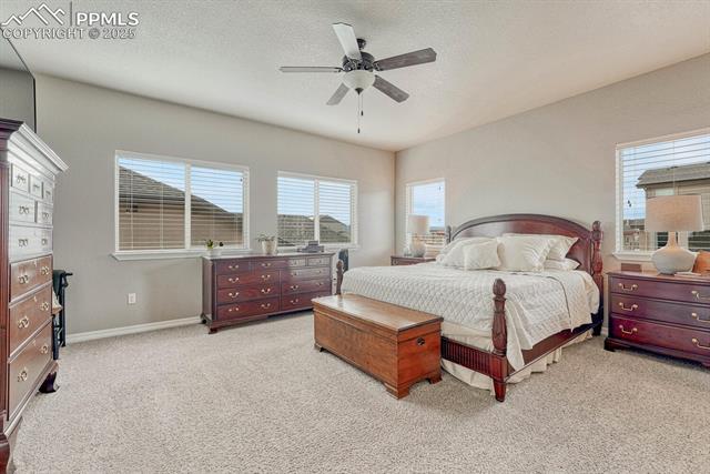 MLS Image for 6132  Cubbage  ,Colorado Springs, Colorado