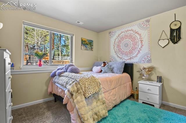 MLS Image for 600  Spruce  ,Woodland Park, Colorado