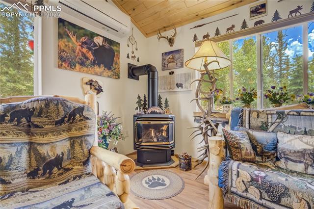 MLS Image for 4069  Omer  ,Divide, Colorado