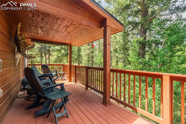 MLS Image for 4069  Omer  ,Divide, Colorado